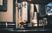 cold brew nitro being dispensed from a kegerator in a coffees