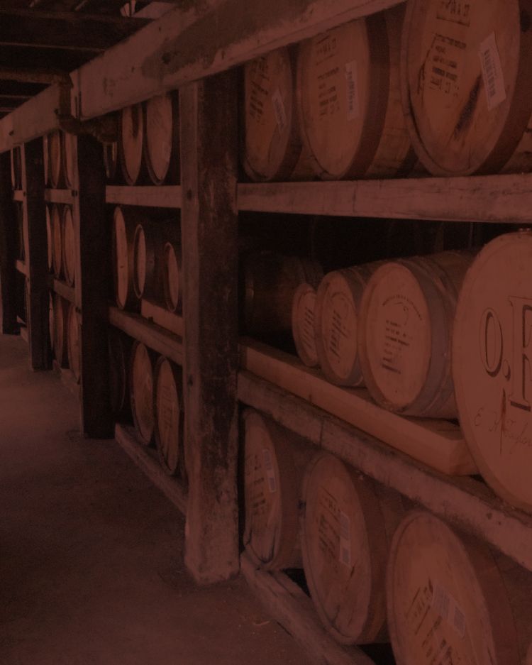 barrels of bourbon resting in a warehouse